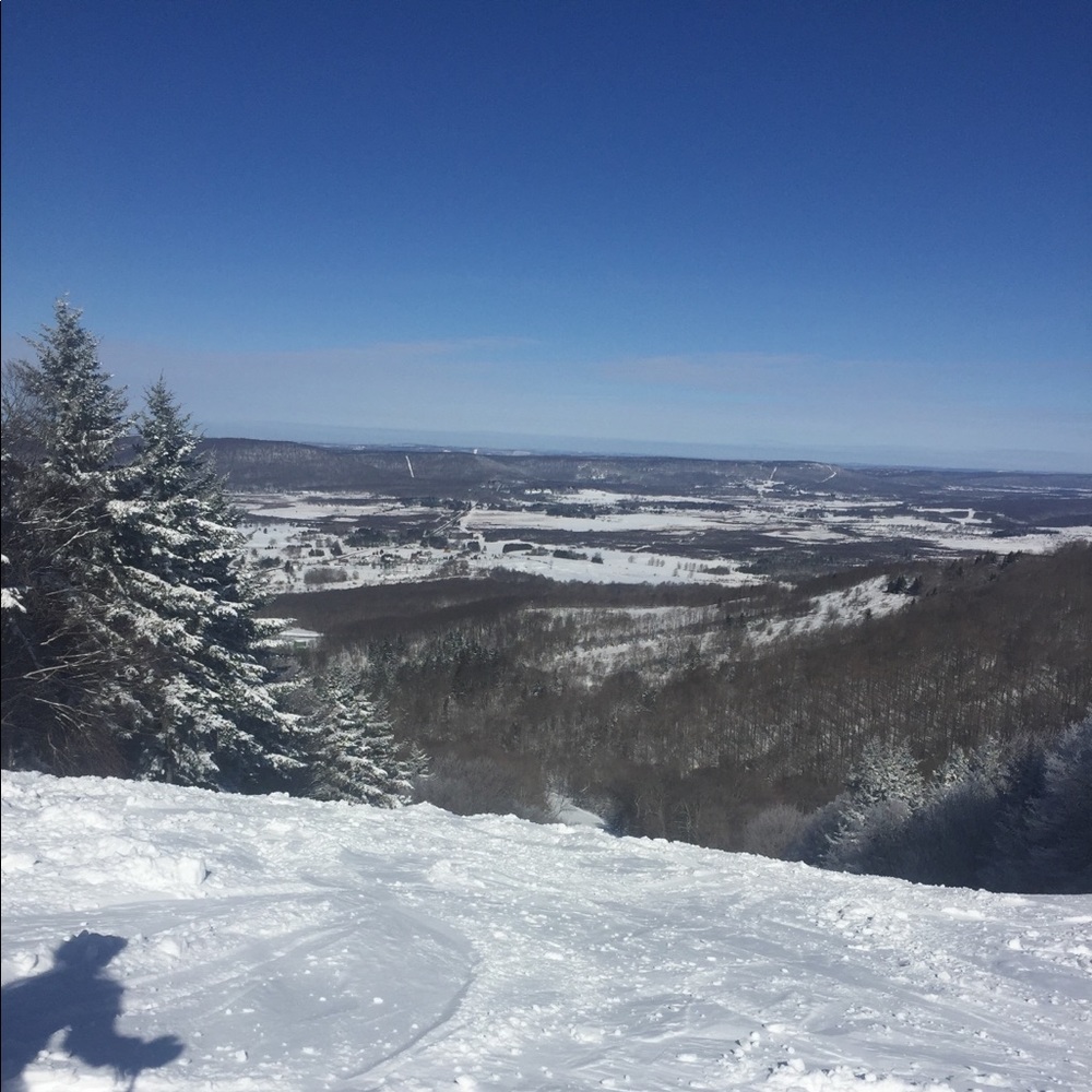 Meet your Posher, Ava